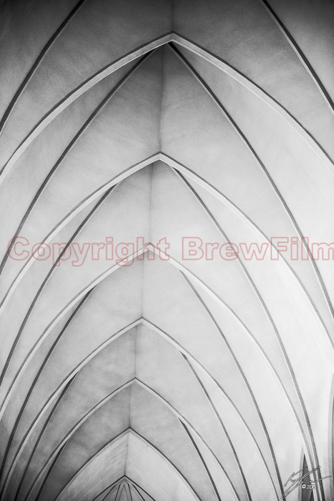 Vaulted ceiling (Black & White)